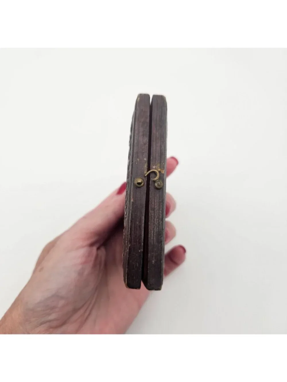 Antique Leather Red Velvet Pheasant Scene Daguerreotype Case